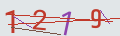 verifycode